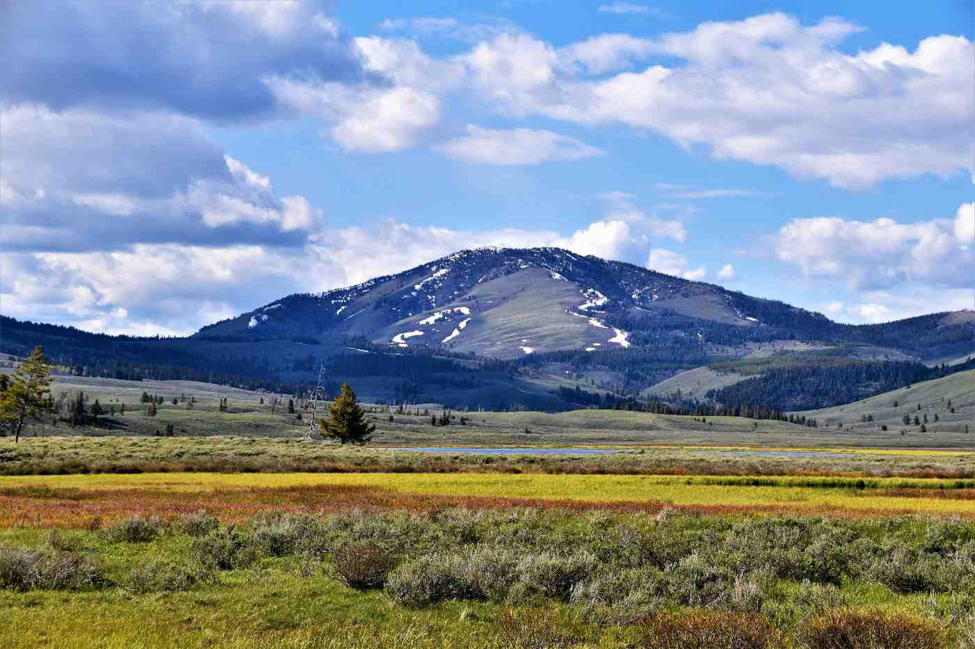 A geyser erupting at Yellowstone National Park.